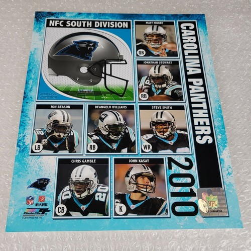 Carolina Panthers NFC South Division NFL 2010 Photo (Size: 8" x 10") - Picture 2 of 8