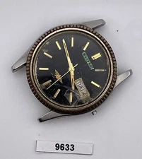 PROJECT FIX CITIZEN COIN RIMMED SS CASE AUTO DAY DATE WATCH 9633