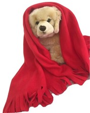 DOG Pet Blanket Travel Throw Cover, Crate RED HEART DISEASE