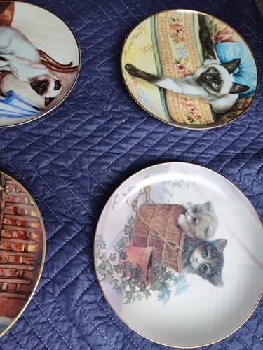 Cat Collectors Plates SET OF 40 Varieties - Picture 14 of 23