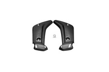 Carbon Kühlerverkleidung für Yamaha FZ1-S