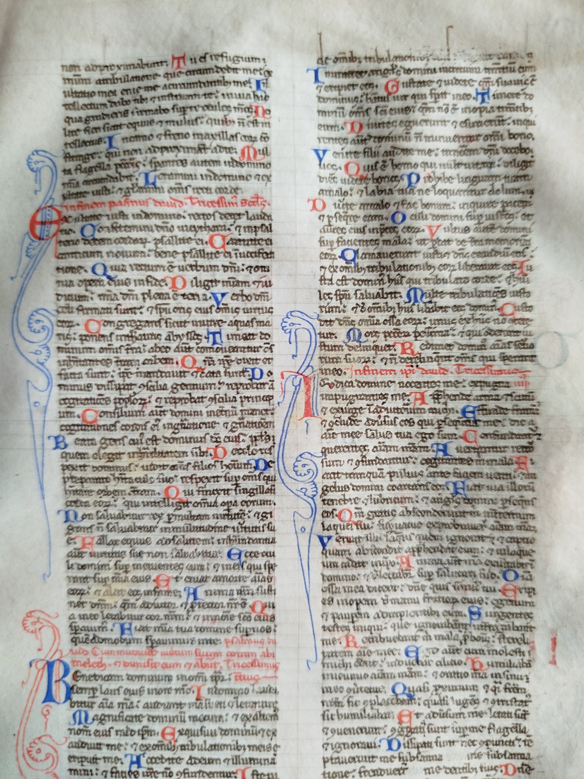 Original Manuscript Leaf on Vellum Biblia latina Initials (b) - 1250