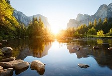 Nature Mountain Forest Backdrop Valley Sunrise Landscape Photography 7x5ft