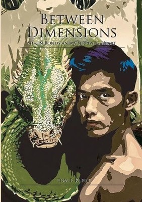 Tom F Klein Between Dimensions (Taschenbuch)
