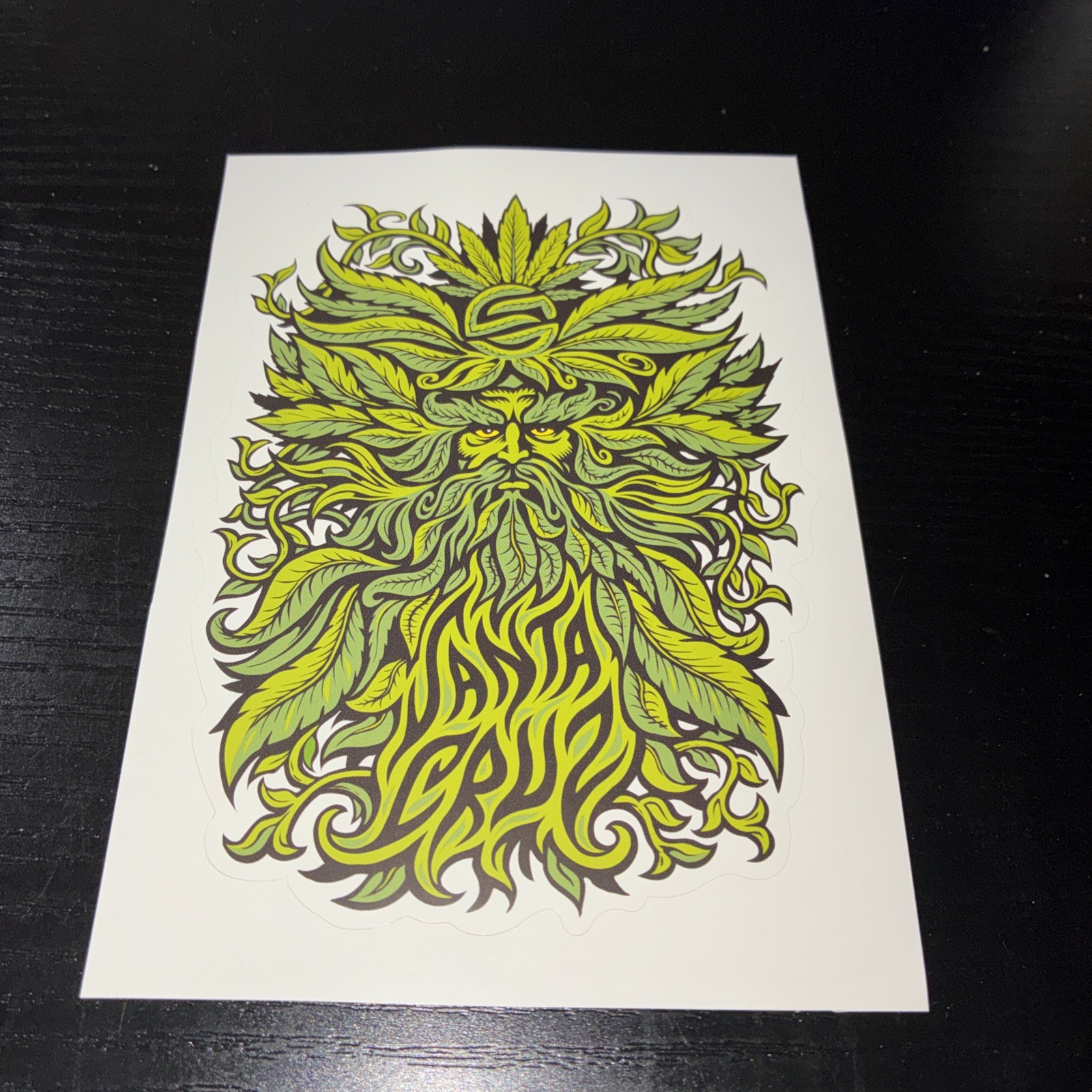Vintage Skate Sticker