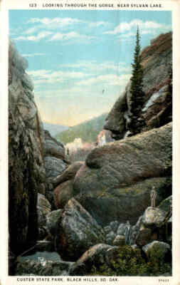 CUSTER STATE PARK, BLACK HILLS, SO. DAK, SYLVAN LAKE, Postcard