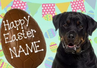 Rottweiler Hund Frohe Ostern personalisierte Grußkarte A5 Schokoladenei EE116
