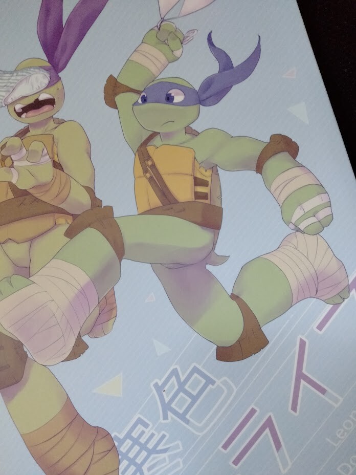 コミック・アニメ 12 Kitty turtles Leonardo DonatelRaphael 81mJJKH6+WL._UF894,1000_QL80_.jpg