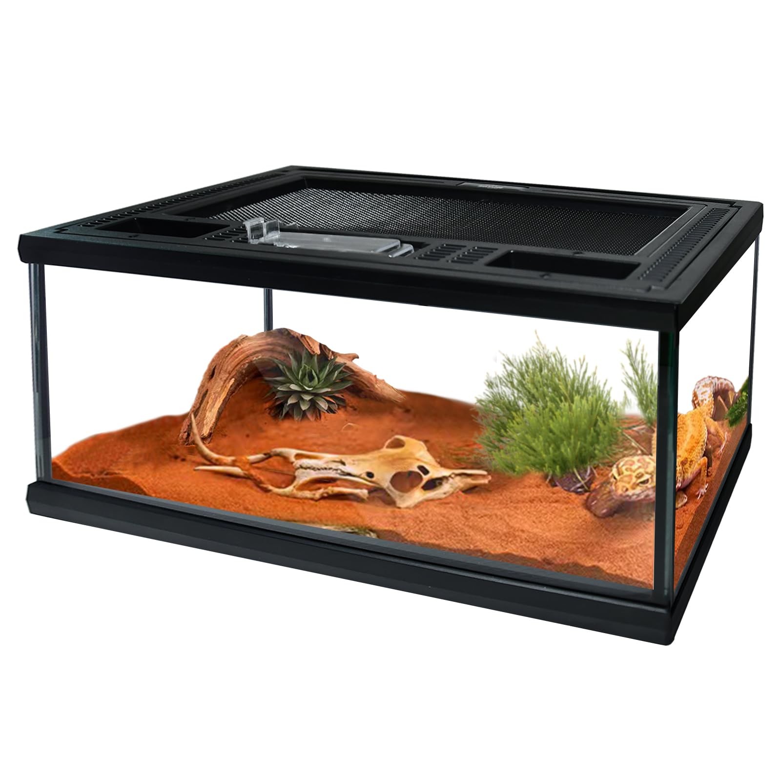 Reptile Glass Terrarium Tank 12
