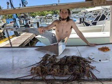 70lbs Stainless Steel Anchor Lewman Delta