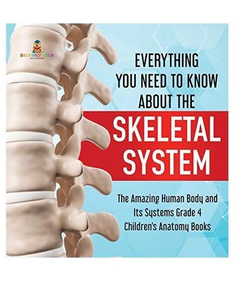 Everything You Need to Know About the Skeletal System | The Amazing Human Body a