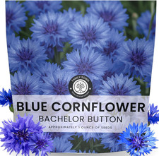 Blue Cornflower – 4,000 Seeds for Planting – 2026 Season – 1 Ounce Pouch 210.08 per gallon