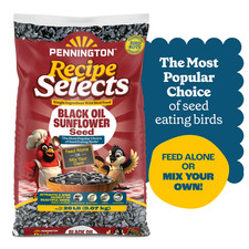 Dry Black Oil Sunflower Seed Wild Bird Food Feed for Outdoor Birds 20 lb Bag