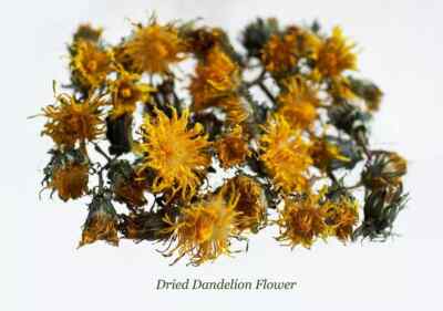 1 oz Organic Wild Dried Minnesota Dandelion Flowers,(Taraxacum)