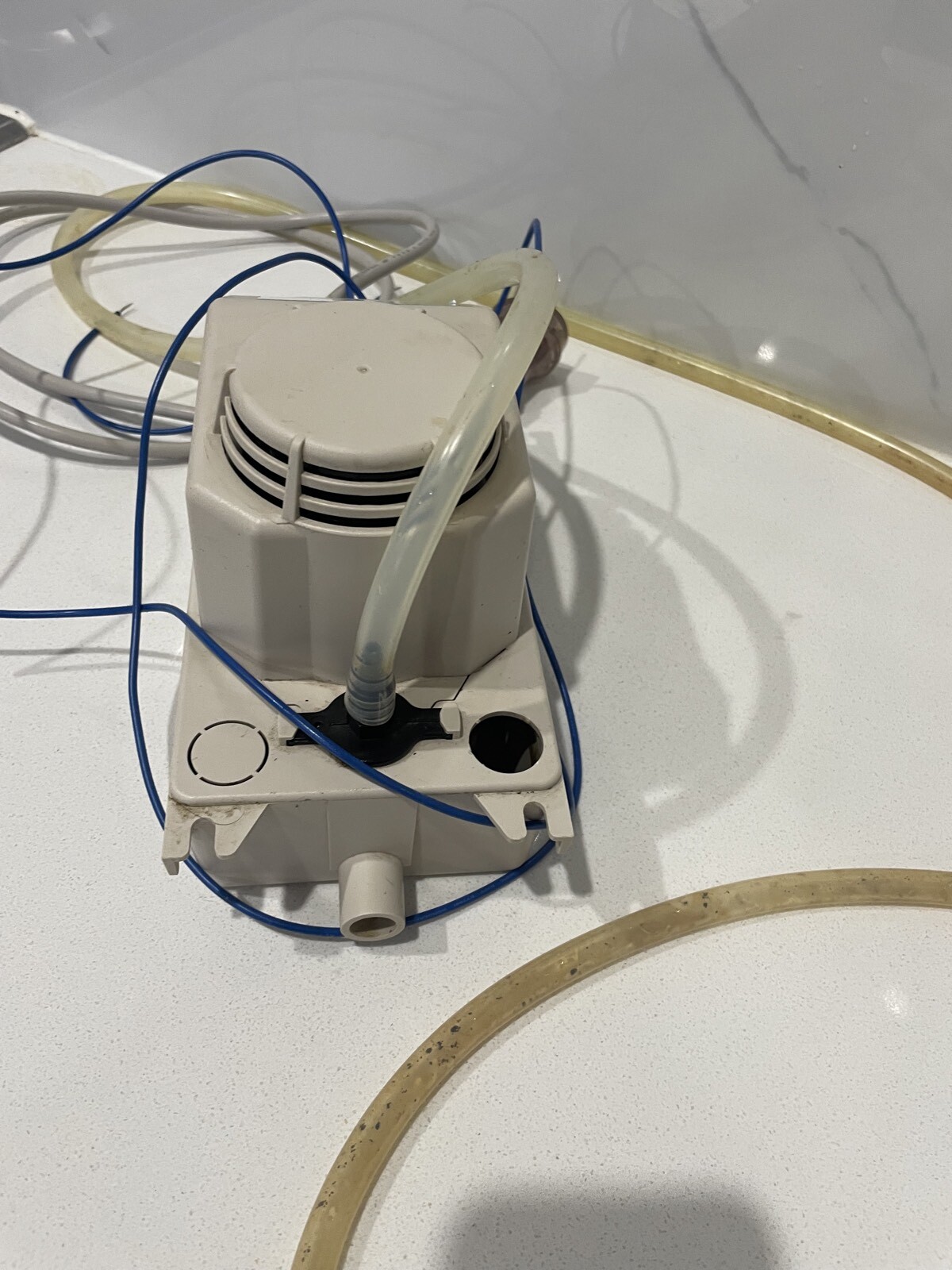 Vada V500 Tank Condensate Pump 150L/Hr eBay