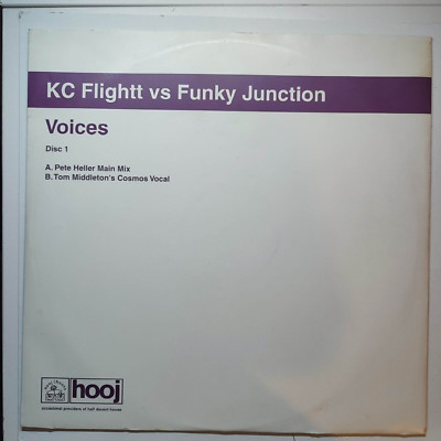 KC Flightt Vs Funky Junction   Voices