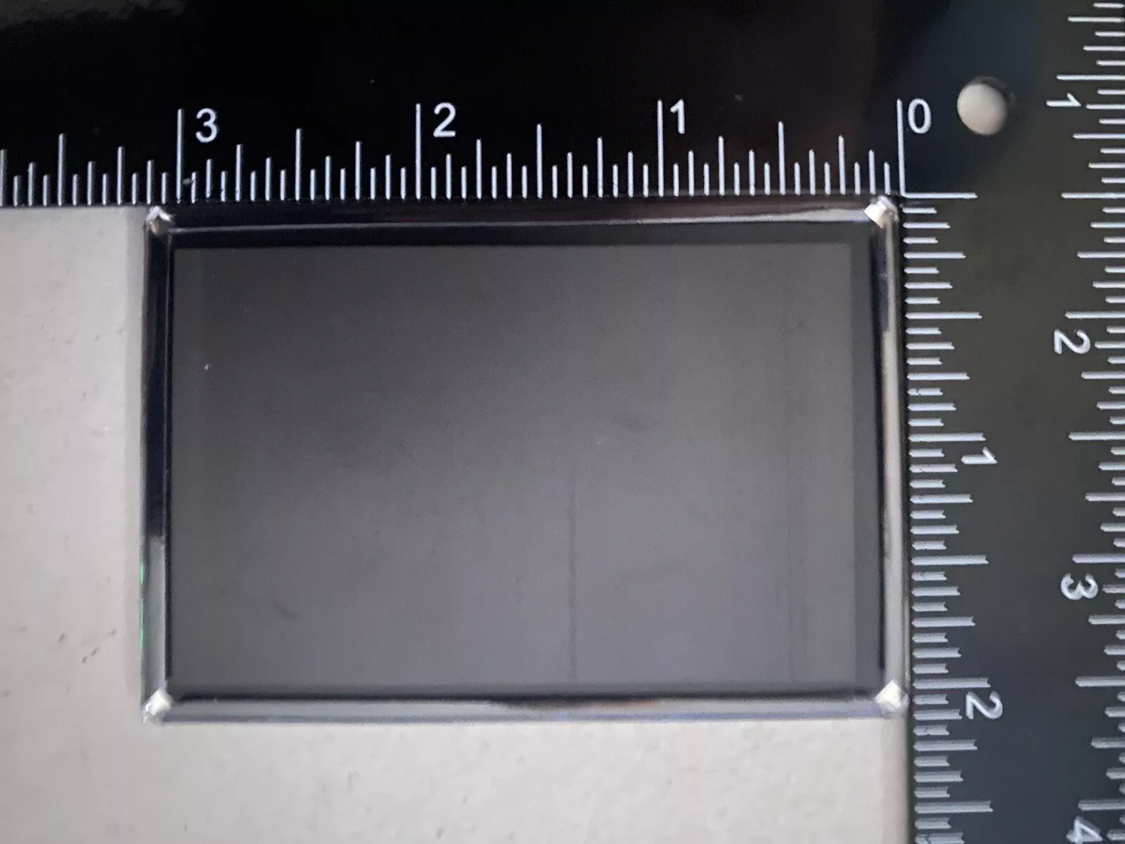 2025 NCAA Men's Basketball Champions Florida Gators Magnet