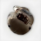 Bild 8 von 9