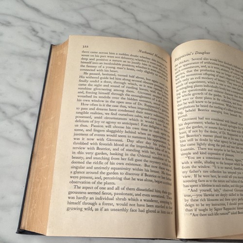 Nathaniel Hawthorne American Writers Series Austin Warren 1934 HC Illus - Picture 8 of 10