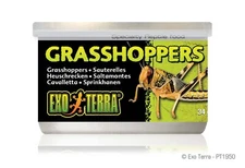 Exo-Terra Grasshoppers Reptile Food