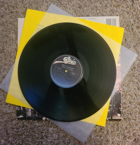 Molly Hatchet – Beatin' The Odds 1980 LP Vinyl Epic FE-36572 - Picture 7 of 11