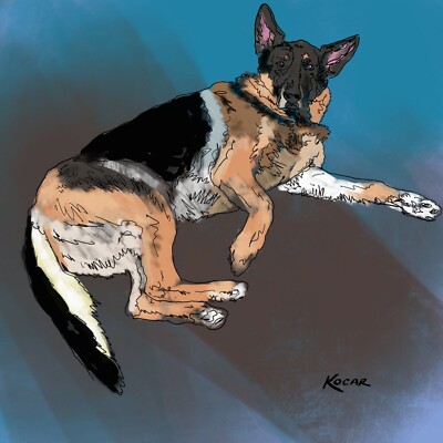 3615- George Kocar Digital Drawing canvas print Dog German Shephard