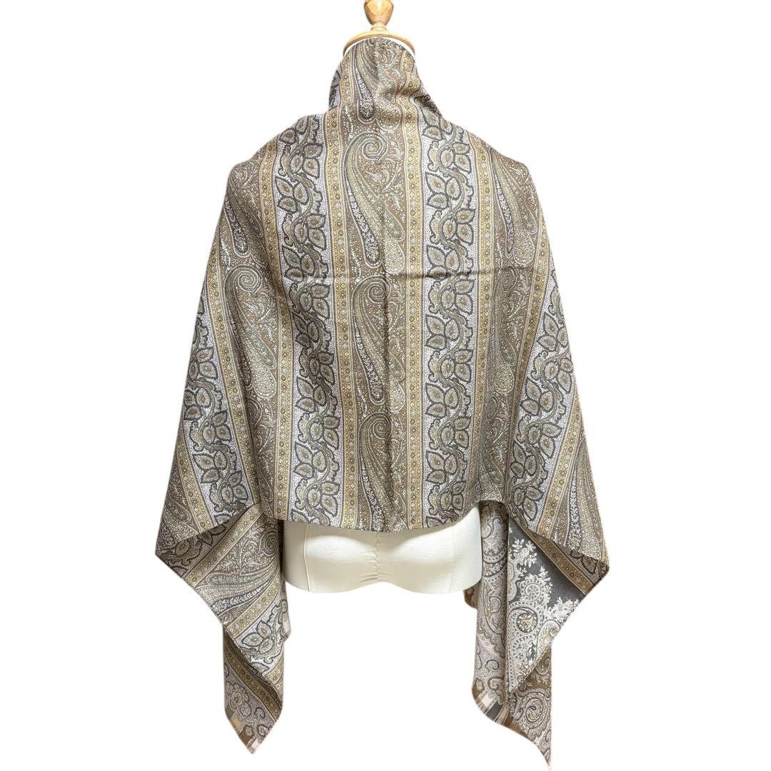 ETRO Paisley Large Rectangular Scarf - image 4
