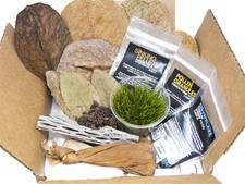Bred By Aquatic Arts Planted Neocaridina Shrimp Combo Box Neocaridina davidi