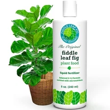 Fiddle Leaf Fig Plant Food – 3‑1‑2 Balanced NPK Liquid Fertilizer for Larger...