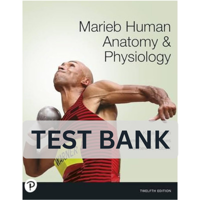 Test Bank Marieb Human Anatomy and Physiology 12th Edition