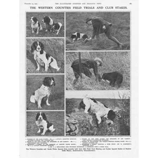 SHIPTON OLIFFE MANOR Glos Western Counties Field Dog Trials - Vintage Print 1923