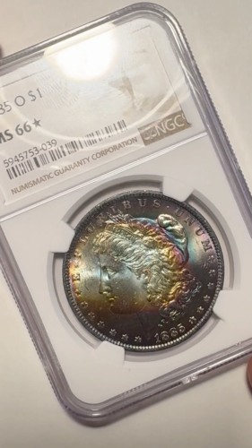 1885 O Toned Morgan $ NGC MS 66* Star💎💎Monster Rembrandt Of Toning 💎💎(VIDEO) - Video 1 of 1