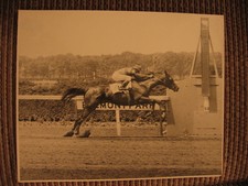 Restless Wind & Eddie Arcaro up Jumping Finish Line Original Photo Horse Racing