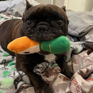 ★ダンバリー ミント/ベティ ブープ/Splendor In White★ ☆ダンバリー ミント/ベティ ブープ/Splendor In White☆ - メルカリ