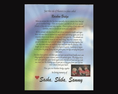 RAINBOW BRIDGE POEM pet LOSS MEMORIAL dog cat personalized ...