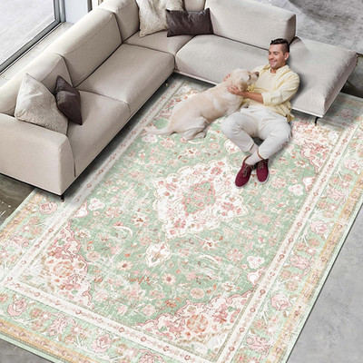 Washable Area Rugs Boho Vintage Modern Neutral Large Carpet Green and Pink High