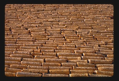 Photo:Mitchell South Dakota Corn Palace 1987 Corn Cob Wall Detail