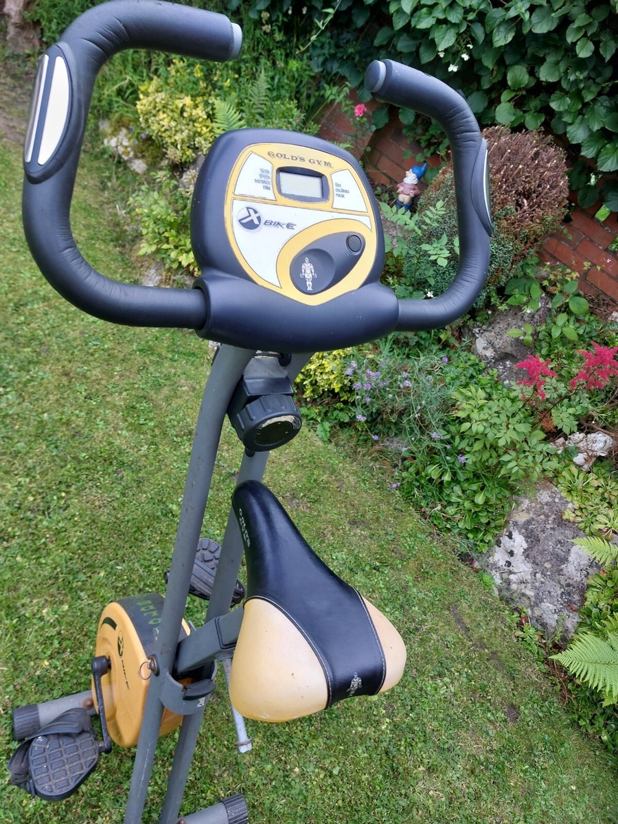 Gold'S Gym Exercise Bicycle: Ultimate Guide to Effective Workouts