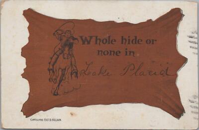 Postcard Whole Hide or None in Lake Placid NY 