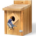 Waterproof Wooden Blue Bird House, Spray Paint Treatment Bluebird Box Houses