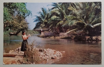 White River, Ocho Rios, Jamaica, The W.I. Postcard