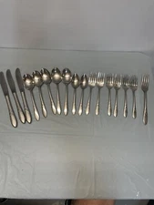 Oneidacraft Deluxe Stainless Lady Handle Set Of 19