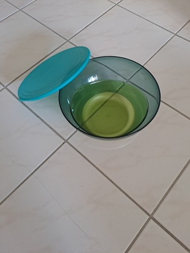 TUPPERWARE NEUF SALADIER DE TABLE ELEGANCE COLLECTOR 4.6 L