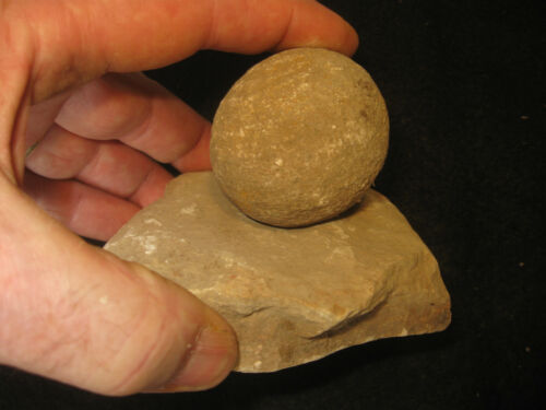 Prehistoric Pennsylvania Pitted Nutting Stone, Nut Cracker, Indian Artifact #PS1