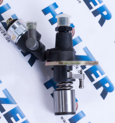 Einspritzpumpe für Stromerzeuger Holzer WS7000T3, WS7000T