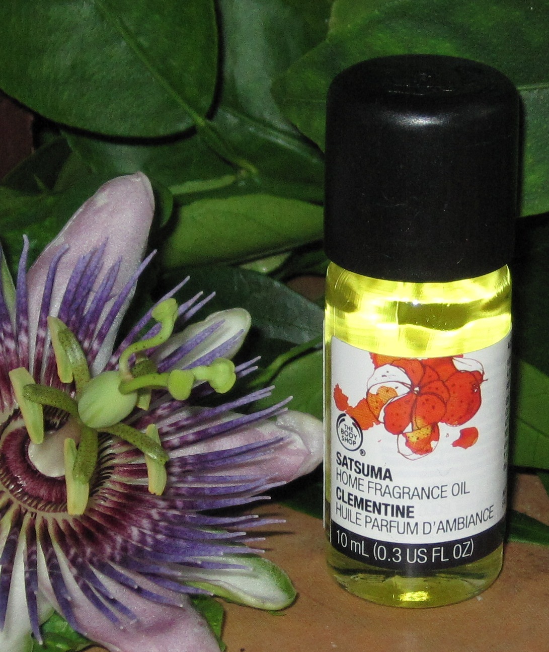 The Body Shop Home Fragrance Oil U Pick Scent NEW eBay