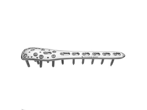 Proximal Humerus Set of 8pcs SS Veterinary - 第 4/6 張圖片