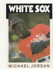 Upper Deck 1991 Michael Jordan  Chicago White Sox MLB 