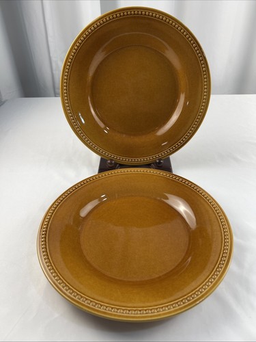2 Pier 1 Spice Route Ginger Stoneware Round Dinner Plates 10 3/4” - Picture 1 of 9