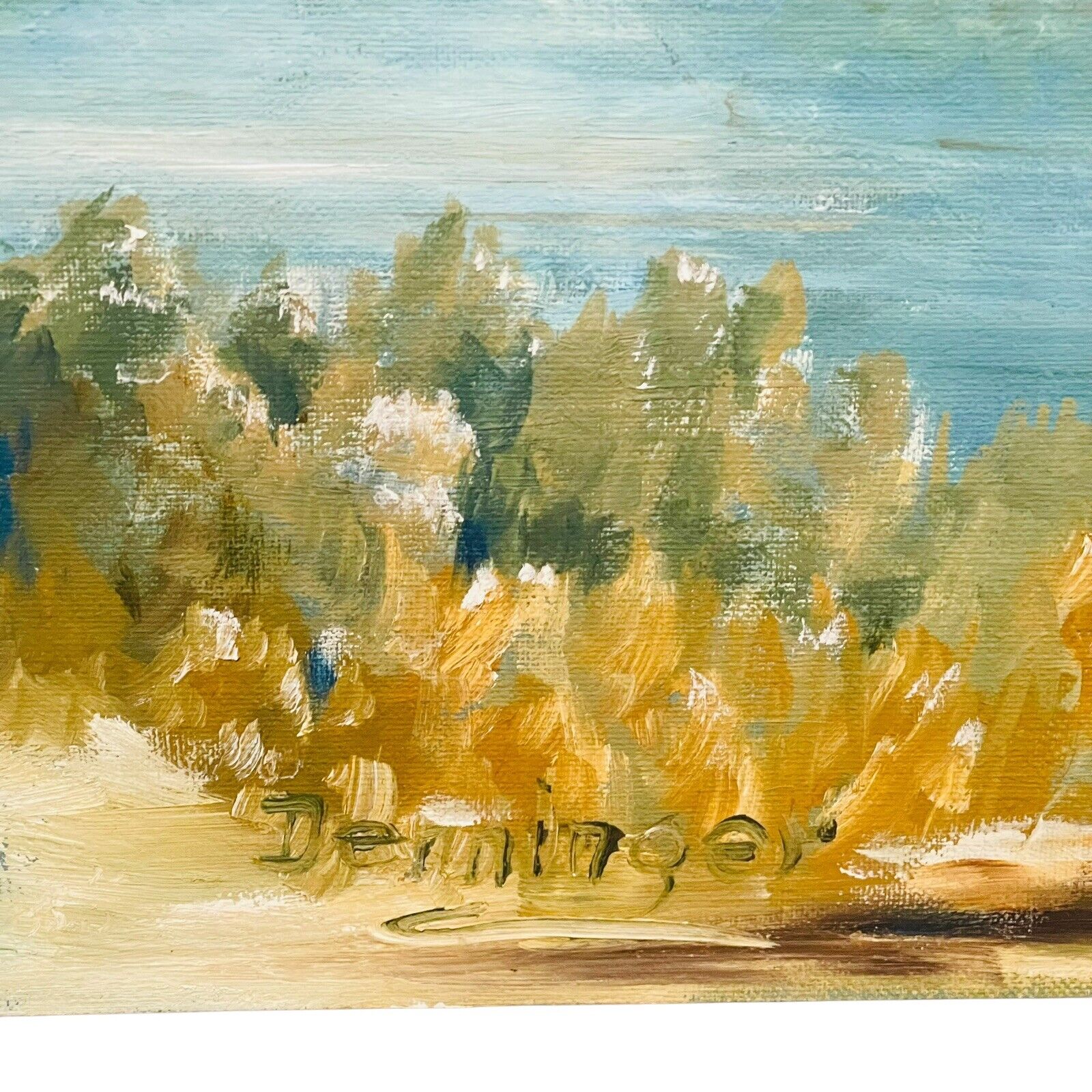 Foto 6 di 17